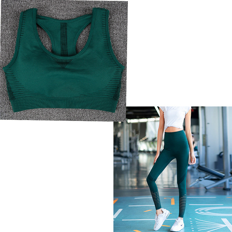 TerritorioFit nahtlose Yoga-Leggings für Damen 