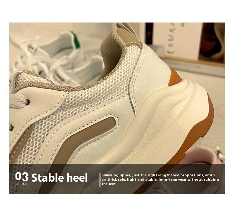 Summer Breathable Mesh Female Soft Bottom Casual Shoes