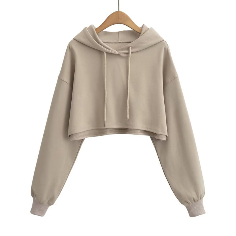 Pull court taille haute tendance et tendance